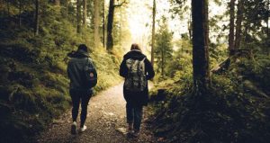 mindful walking in forest