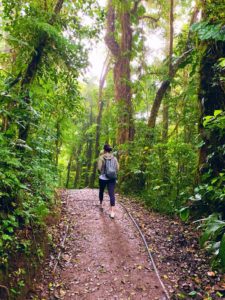 walking in the jungle