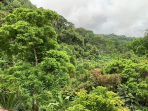 uvita mountain